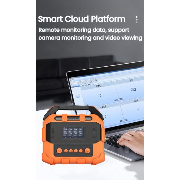 Ptm600-S Portable Intelligent Gas Analyzer For Multi Gas Detection