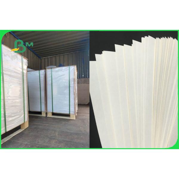100% Virgin Biodegradable Uncoated Paper Cup Base Paper 170 - 300gsm FDA FSC