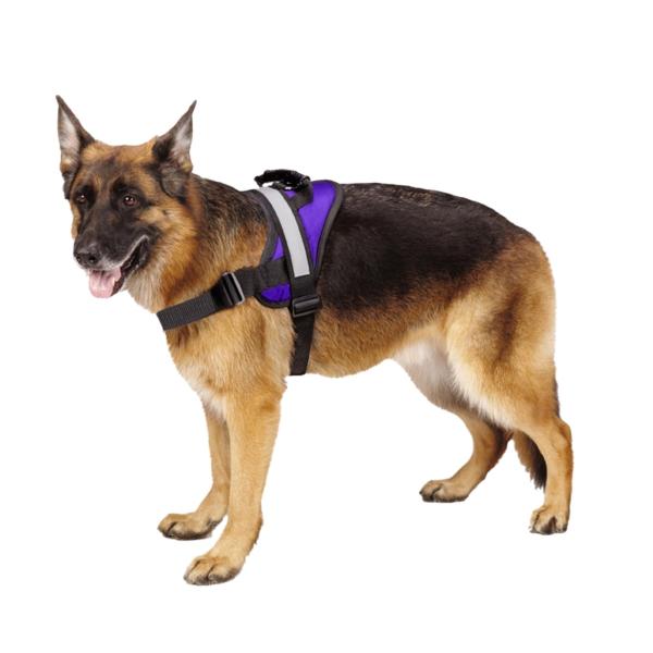 Hassle Free Chest LED Dog Harness Double Security M L XL 7 Colors Optional