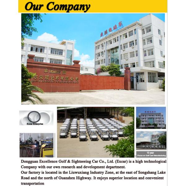 Intelligent Onboard Charger Electric Golf Carts 48V Lithium Battery Powered