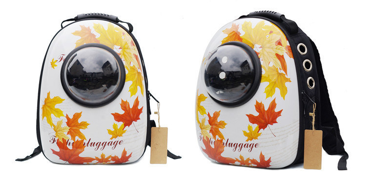 Cartoon Customized Plastic Pet Carrier Outdoor Space Dog Bags