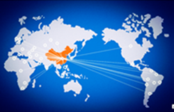 Medical Endoscopic Consumables OD 2.4MM 1.8MM Disposable Biopsy Forceps