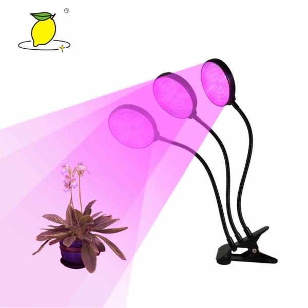 12H Plant Grow Lamp
