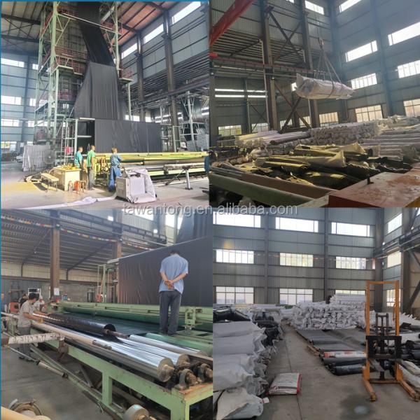 ASTM Standard 0.5mm 1mm Smooth HDPE Geomembrane Dam Liner for Fish Pond in Chinese Design Style