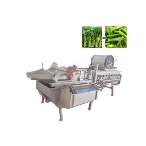 CE Approved Broccoli Lettue 1 Ton/H Vegetable Washing Machine