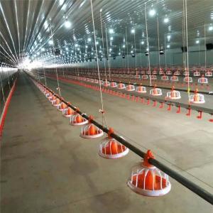 China Stainless Automatic Broiler Feeding System 50Kg Feed Hopper For Poultry wholesale