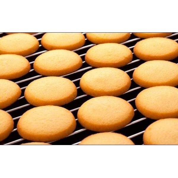 Large capacity to small scale Industria gas baking tunnel oven 800mm Width Electric / Gas Tunnel Oven for Baking Cookie