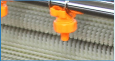 Onion Carrot 500kg/H Cassava Peeling And Washing Machine Potato Cleaning Peeler