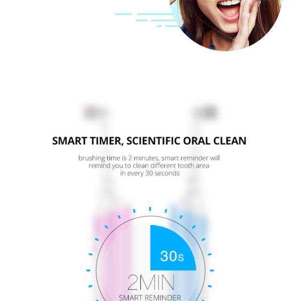 SN12 Round Head Rotary Electric Toothbrush IPX7 Waterproof With Magnetic Suspension