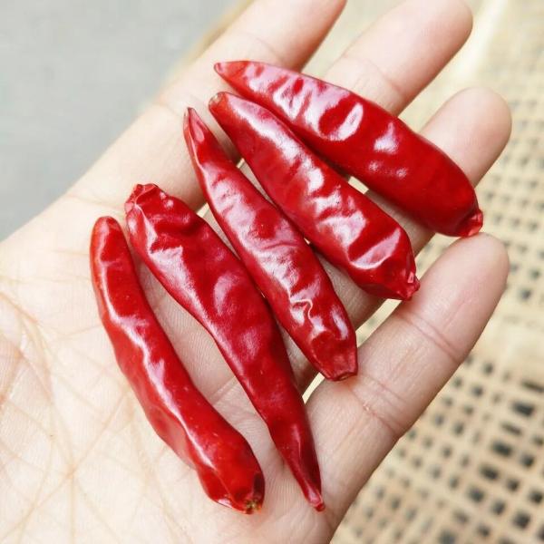 Tien Tsin Dried Red Chilli Peppers For Szechuan Style Cooking Kung Pao Ingredient