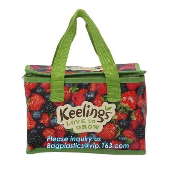 Foldable Lunch Insulated Cooler Bag Heated Food Delivery Bag Thermal Pizza Delivery Cooler Bag