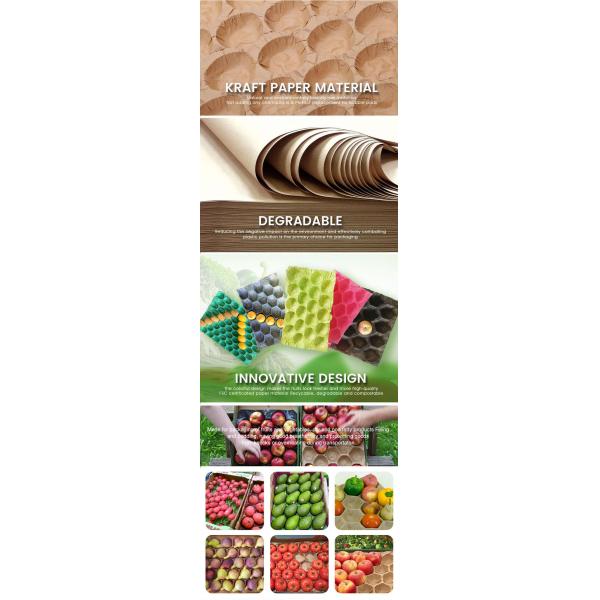 Biodegradable Paper Tray Fruits Packaging Kiwi Paper Moulded Pulp Caliber Tray Liner