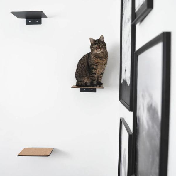 Modern Metal Cat Room Wall Seat with Stamping Parts Installation Wall Mount Pre Drill