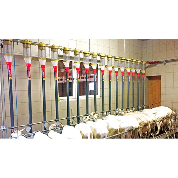 Prefab Steel Structure Sheep Shed Farm Building Design made of Q235 Low Carbon Steel