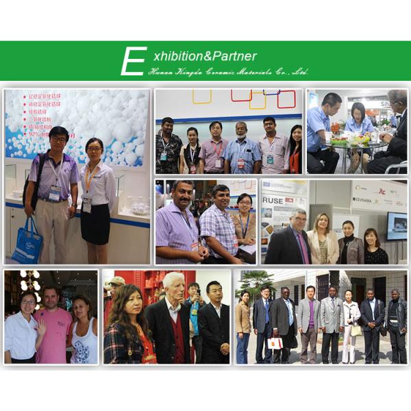 0.2L Planetary Ball Mill 220V Full Automatic Desktop lab bead mill