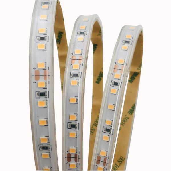 3000K 4000K 6500K 12 Volt LED Flexible Light Strips 24V SMD2835 Smart Dual 2 Color Water Running