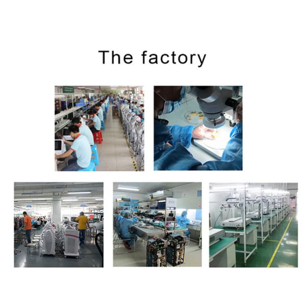 CE 240V Body Composition Analyzer BMI Muscle Fat Scale