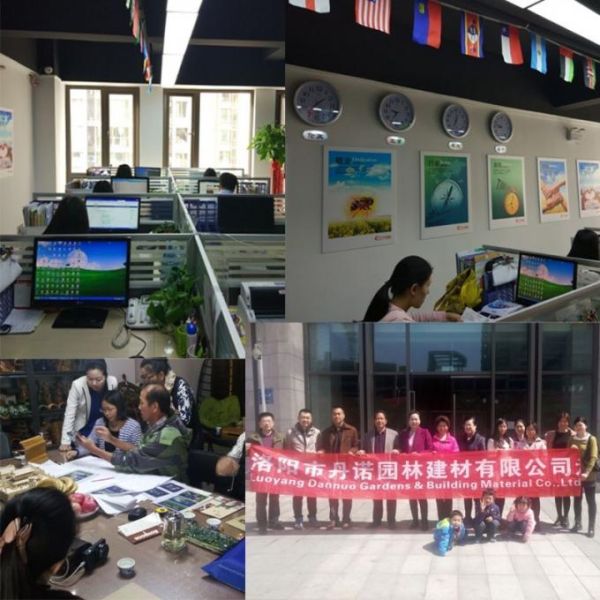 Double Storey Glazed Roof Tile Hexagonal Gazebo Pavilion For Park And Landscape