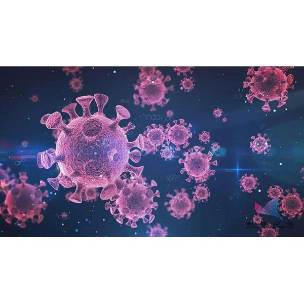 Colloidal Gold Screening 10uL Serum Plasma Coronavirus Test Kit