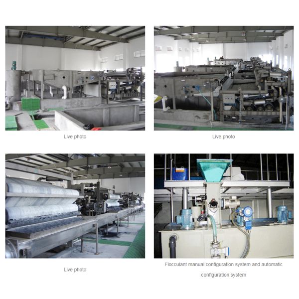No Vibration Dewatering Filter Press DYL A Serial Belt Press Dewatering System