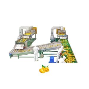 China Automatic Mango Processing Line Juice Machine Industrial Commercial wholesale