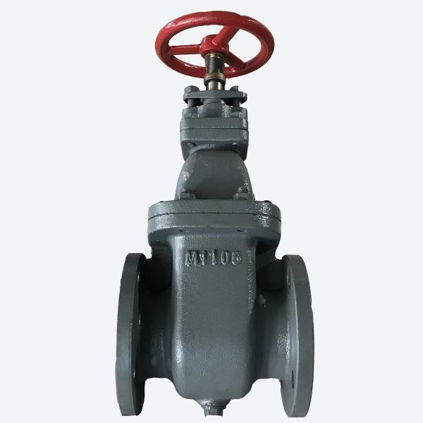 API Standard Cast Iron Globe Valve , Flanged Globe Valve For Chemical / Natural Gas