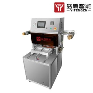 China 2100W Semi Auto Vacuum Nitrogen Sealing Machine Electric Heat Sealing wholesale