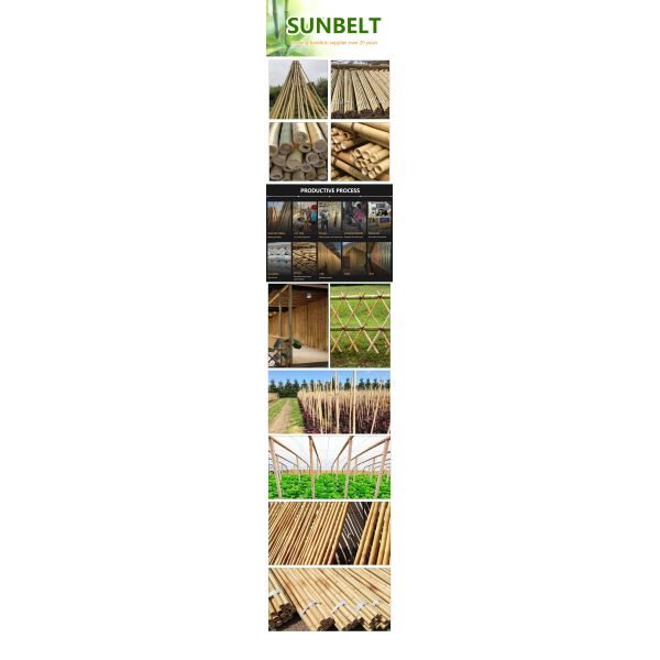 Raw Bamboo Pole 100% Natural for Gardening Construction and Decoration Top Quality Bamboo Canes/Stakes