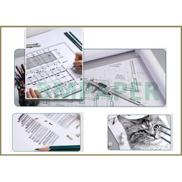 Wide Format 80gsm White Bond Plotter Paper Roll 18'' 24'' x 500ft 3'' Core Wide Format 80gsm 20LB Cad Plotter Paper Roll 18'' 24'' 36'' X 500ft For Engineering Architectural Drawing