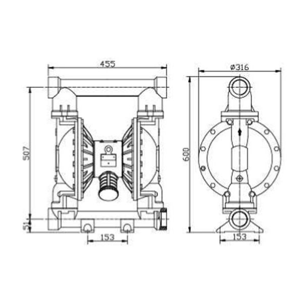 Cast iron ductile Pneumatic Diaphragm Pumps for professional cleaning