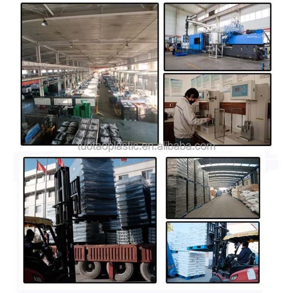 Foldable PP Mesh Crate Box Design for Convenient Storage of Fruits and Vegetables