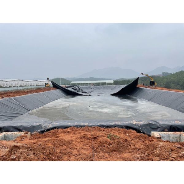 60Mils 1.5mm Thickness Smooth HDPE Geomembrane Lagoon Lined Waterproof Anti-seepage