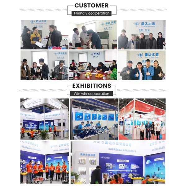 DN15 Multi Jet Wet or Dry Type Water Meter Manufacture