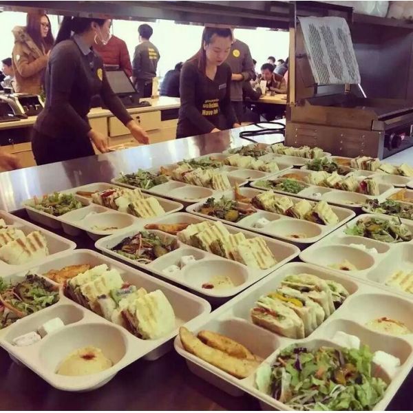 1250ml 5 compartments Biodegradable Straw pulp food containers Environmentally friendly paper food trays