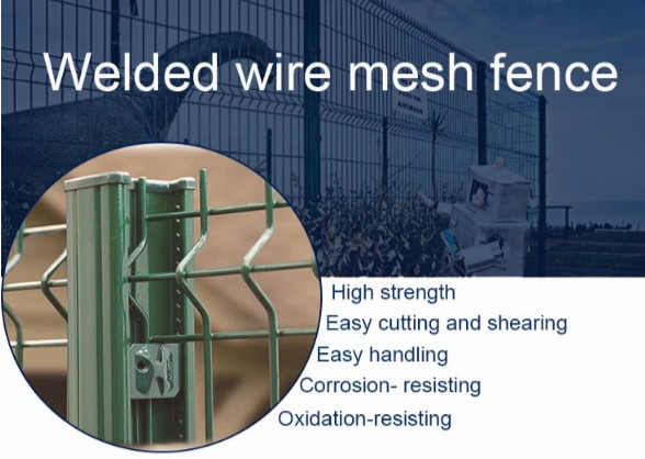 Sustainable Hot Dipped Galvanized 2400mm Pvc Coated Wire Mesh Fencing