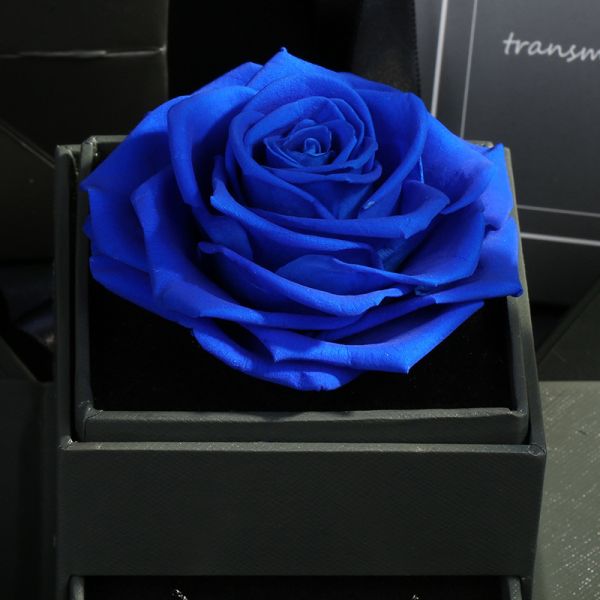 Amazon Hot Selling Real Preserved Roses Jewelry Gift Boxes eternal rose jewel case forever rose gift for wife