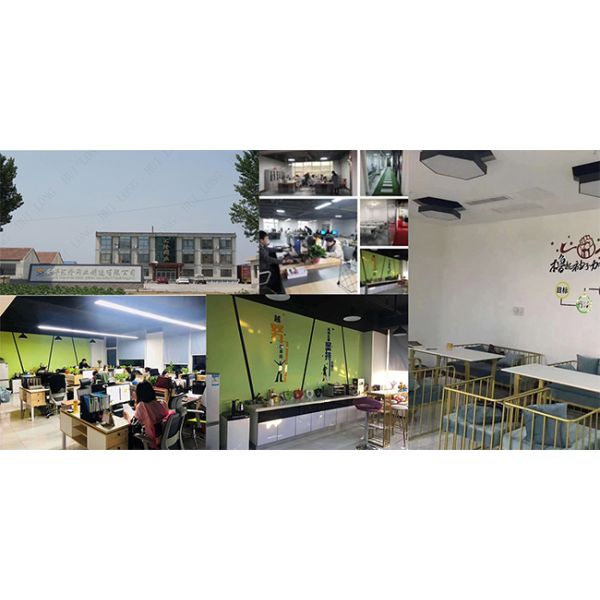 Bwg18 20 21 Bright Soft Iron Binding Wire Electro Galvanized