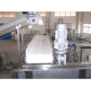 Pickled Gherkins Fruit And Vegetable Processing Equipment With Heat Recovery