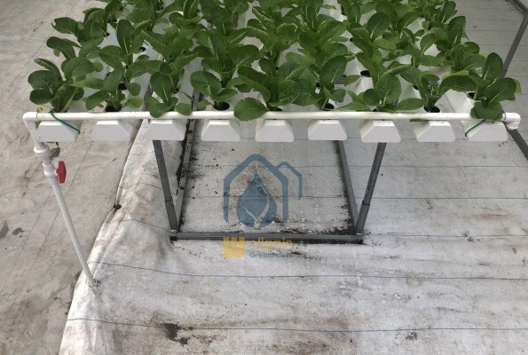 Customized Flexible Hydroponic Growing System NFT Tube For Cleaner Growth