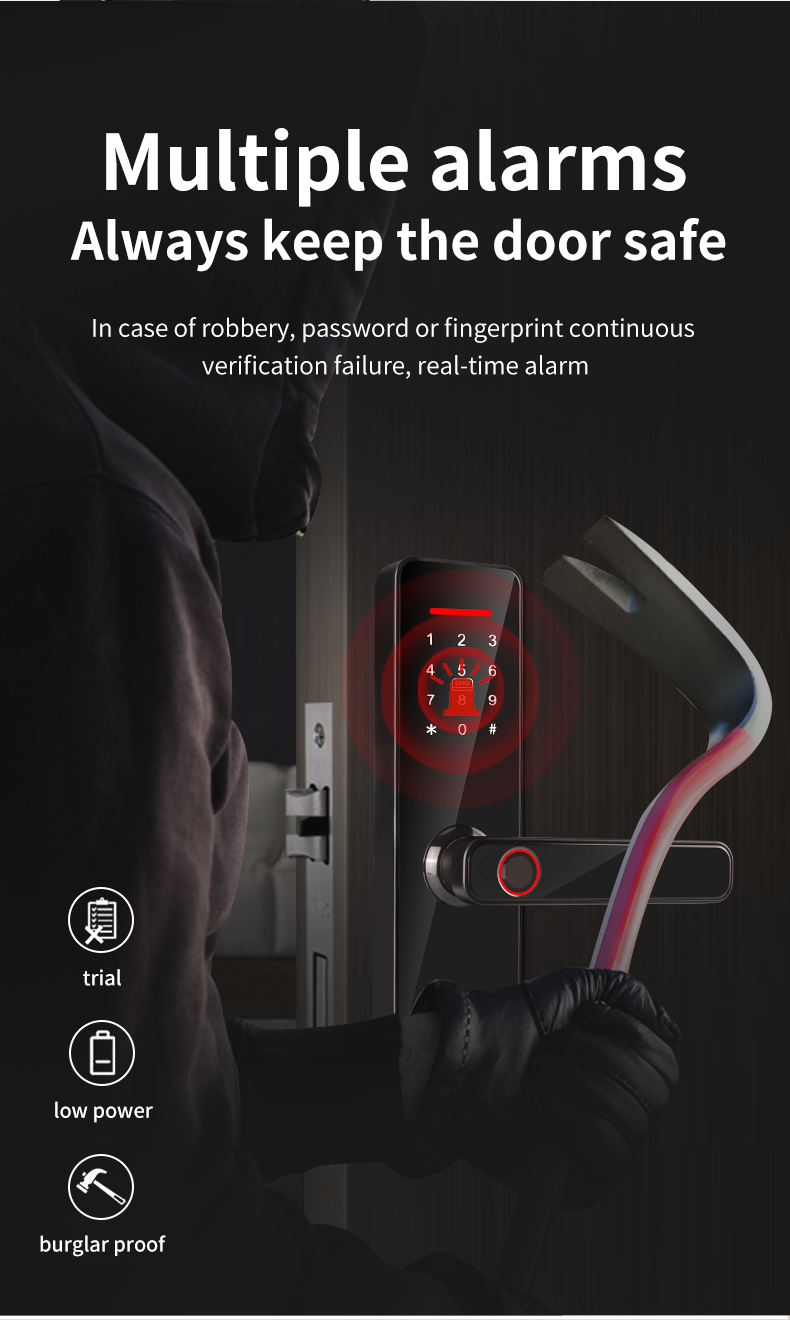 Intelligent Password Fingerprint Door Lock TTlock Auto Door Locks For Home