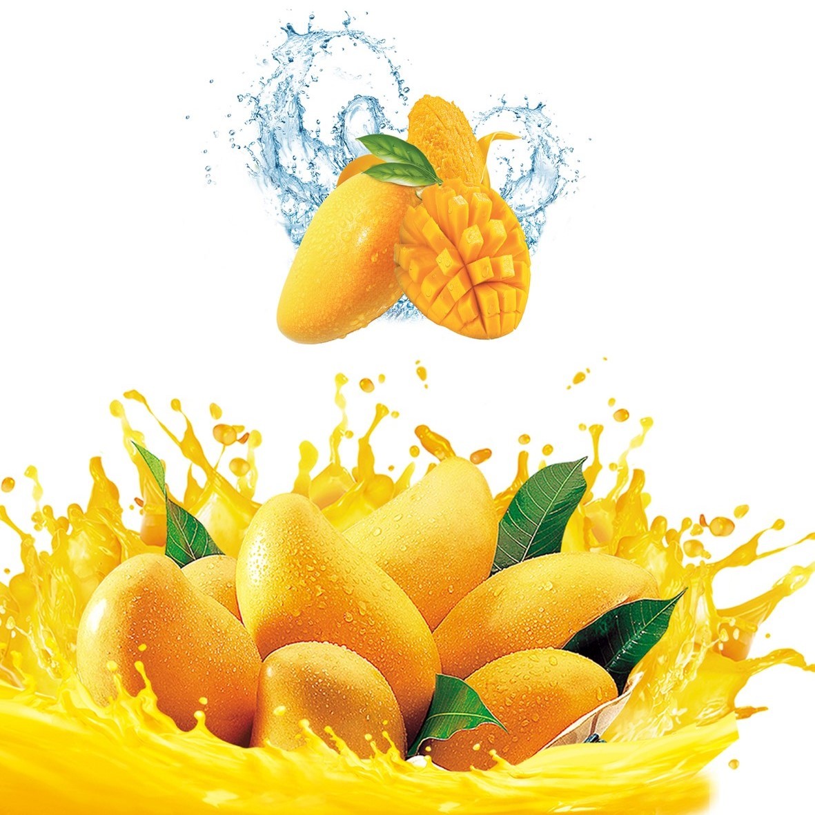 China SUS304 Automatic Mango Washing Machine For Fruit Cleaning wholesale