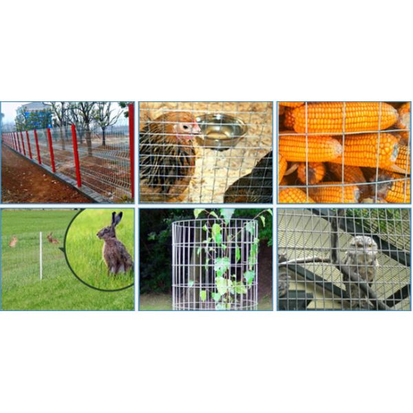 3.15mm Welded Wire Mesh Panels 50 X 50mm Aperture Galvanized For Fence