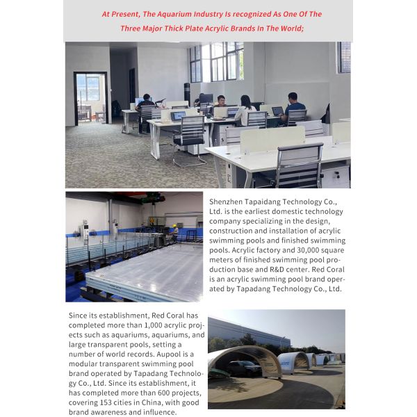 Customized Clear Acrylic Wall Sheet Prefab Pool with Filter Tank and Brown Desig