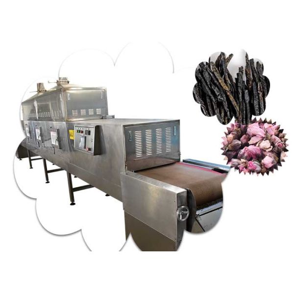 Professional Microwave Drying Equipment