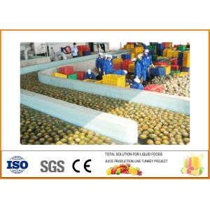 China Automatic Pineapple Processing Line 10~20 Brix Fixation Content wholesale