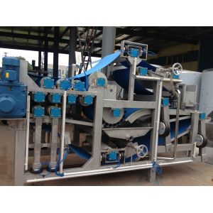 China Beverage 440V 20T/H Pineapple Juice Processing Line wholesale