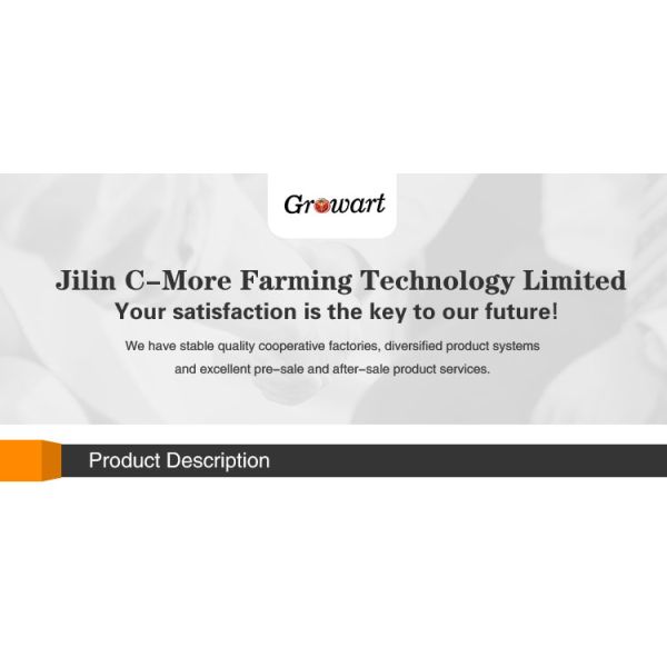 Greenhouse Agriculture Iot Vertical Factory For Modern Agriculture