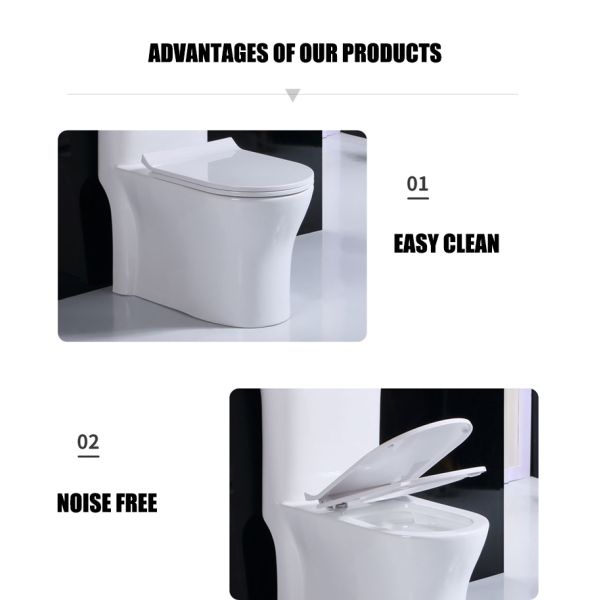Dual-Flush Water Saving One Piece Toilet White Ceramic