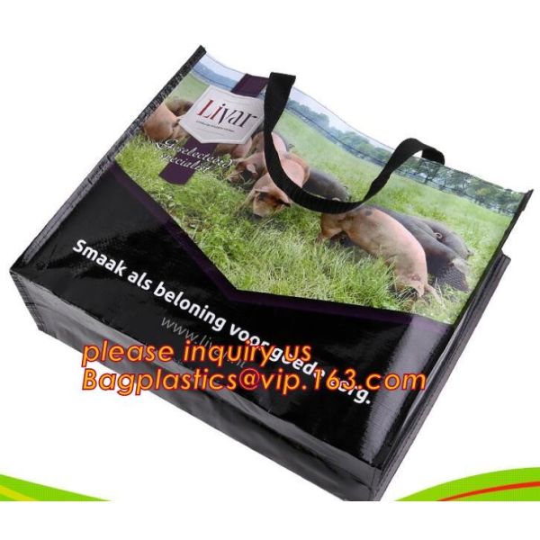 OEM ODM Customized eco friendly pp woven supermarket shopping bag,custom reusable laminated foldable PP pak woven shoppi