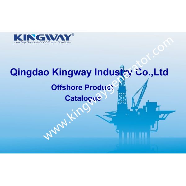 DNV Standards Offshore Shipping Containers LIoyd'S Register Shipping Certified For Gymnasium Room